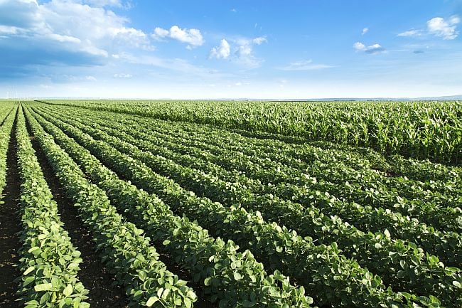 Agriculture jobs: Why you want a job in agriculture